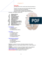 Cranial Nerves