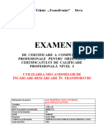Model Prima Pagina Examen de Certificare Nivel 4