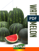 Watermelon Cat-2021 Eng Web