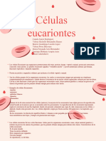 Células Eucariontes