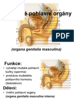 Reprodukcni System Muze