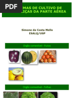 AULA 3sistemas de Cultivo Das Hortaliças Da Parte Aerea 2023