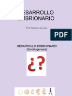 Desarrollo Embrionario