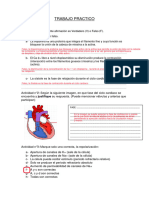 Trabajo Practico - Cardiovascular