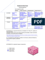 TRABAJO PRACTICO Tejido Basicos