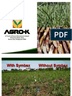 66332403 Sugarcane Production With Symbex