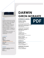 CV Darwin Giron Morante.