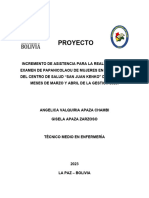 Proyecto Pap Original A.ga