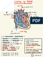 Cardiovascular System