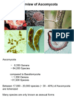 Lecture 9 Overview of Ascomycetes 1uhz76v