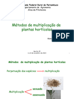 Aula 7 Métodos de Multiplicação de Plantas Hortícolas