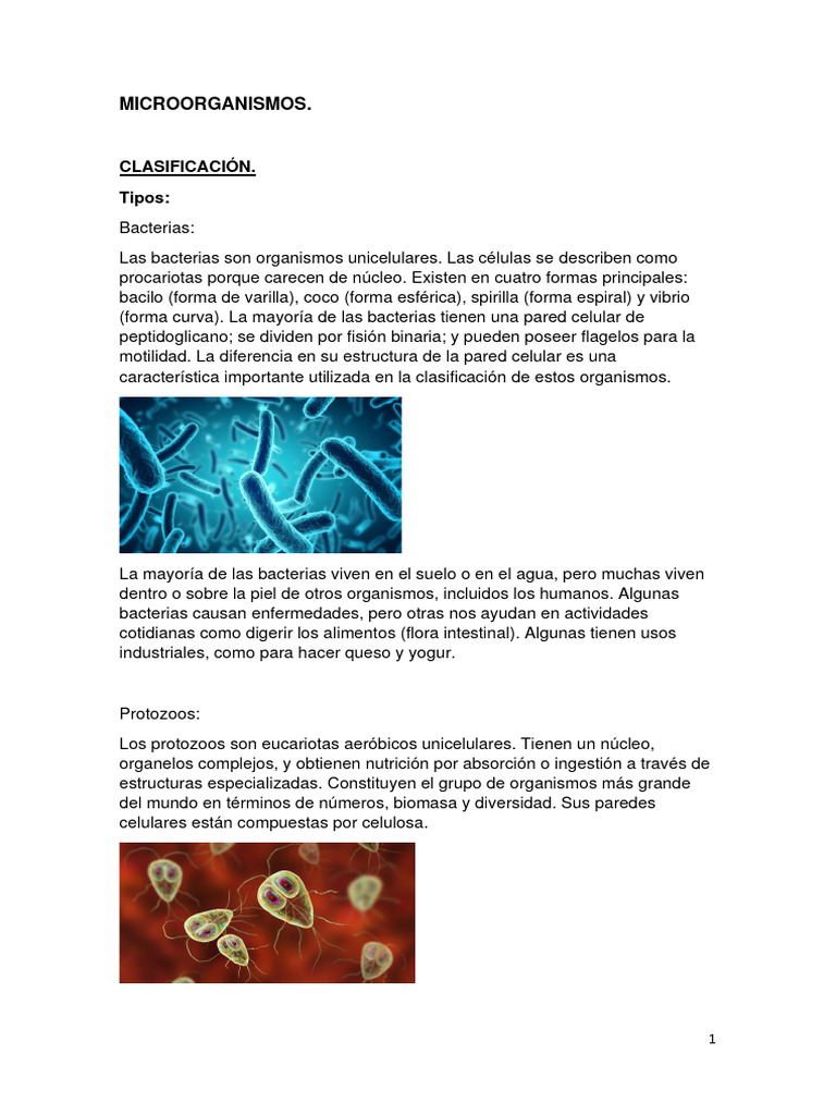 Clasificación de Microorganismos | PDF | Biología Celular) | Las bacterias