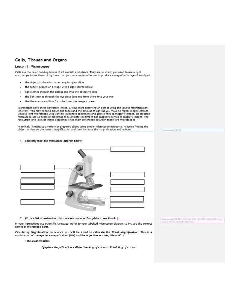 Cells Tissues Organs Booklet | PDF | Respiratory Tract | Lung