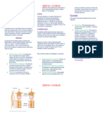 Hernia Lumbar