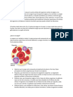 La Sangre y Sus Funciones