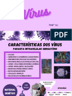 Capítulo 2 - Vírus