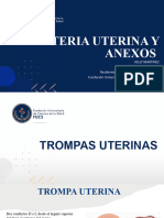 Arteria Uterina y Anexos
