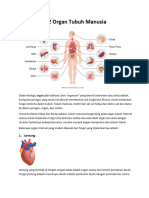 12 Organ Tubuh Manusia Dan Fungsinya