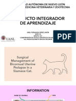 Bicournal Uterine Prolapse