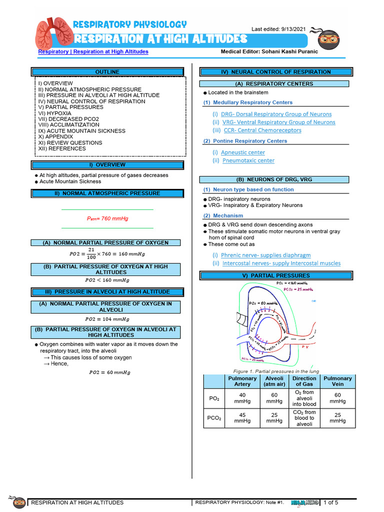 Respiration at High Altitudes Atf | PDF