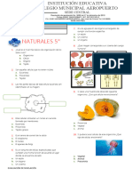 Evaluacion Nivelacion Naturales 5°