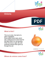 Onions PPT 711fcfv