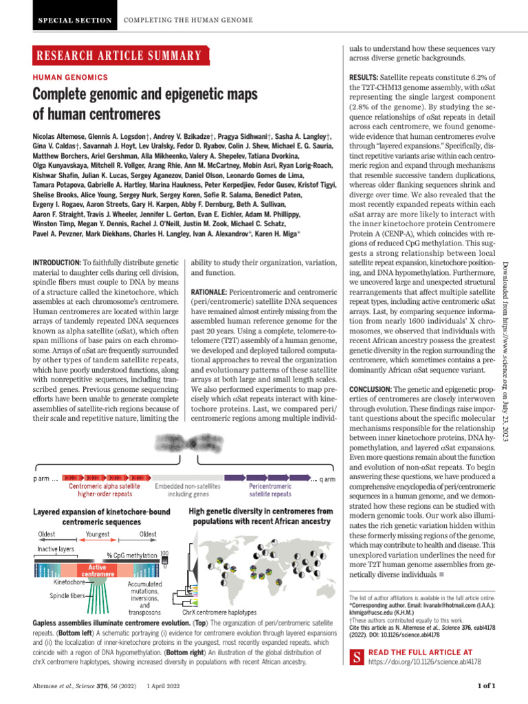 Alpha Satellite DNA and Centromere Evolution | PDF | Genome | Human Genome
