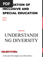 Loden's Diversity Wheel Explained | PDF