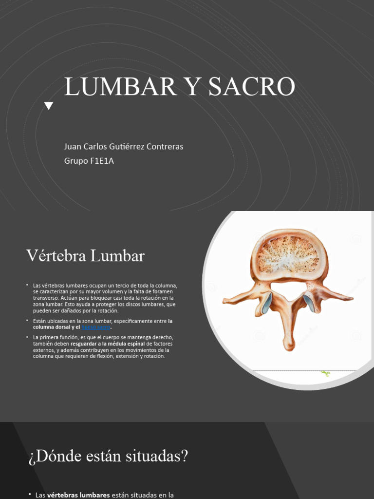 Lumbar y Sacro | PDF | Vértebra | La columna vertebral