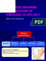 Midede Sindirim Mekanik Ve Kimyasal Olaylar