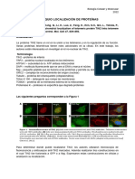 LOCALIZACION DE PROTEÍNAS (2)