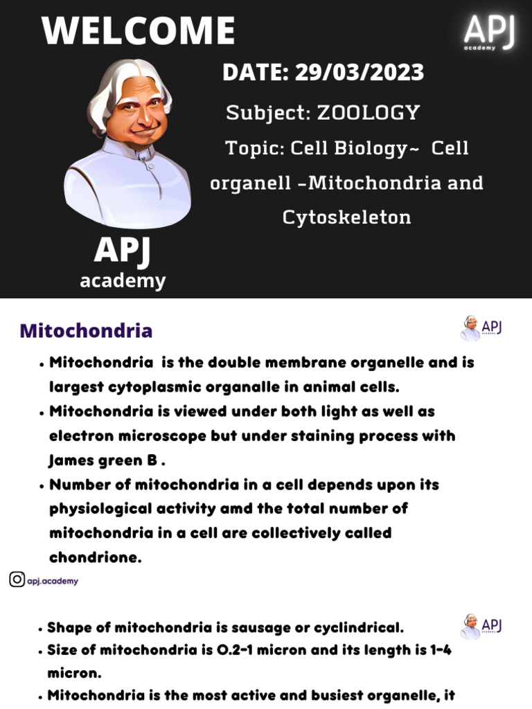 Mitochondria | PDF | Mitochondrion | Cell (Biology)