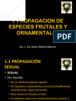 I. Propagacion de Especies Frutales Y Ornamentales: Ing. J. de Jesús Medina Basurto
