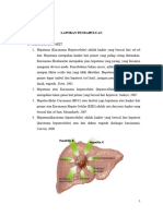 HEPATOMA Docx