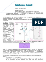 Metabolismo de Lipidos 2