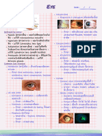 Eye S Anatomy: Date