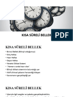 Kısa Süreli Bellek-10 (+)