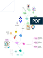 Diagrama en Blanco