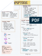 Apoptosis