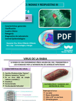 Teoria N°6 Noxas