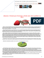 Alimentos para Tartarugas e Jabutis - Alimentação e Nutrição Recomendada Tartaruga e Jabutis