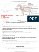 AULA 7 VASCULARIZAÇÃO VISCERAL E SISTEMA LINFÁTICO