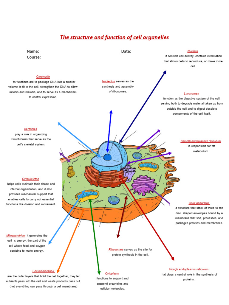 Humanor not? visual data 8