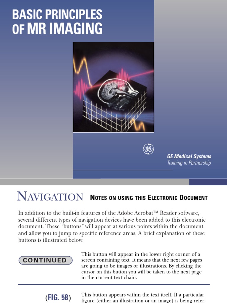 MR Physics Primer | PDF | Relaxation (Nmr) | Spin (Physics)