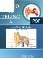 Anatomi PF Telinga Dan Pelana FIXX