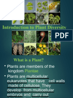 Lecture 9 Plant Diversity