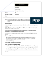 Divergent Plate Boundary Lesson Plan