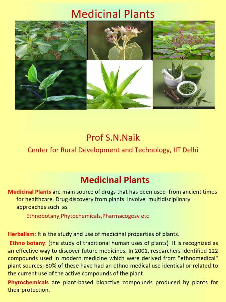 Medicinal Plants - 24 | PDF | Metabolism | Pharmacognosy