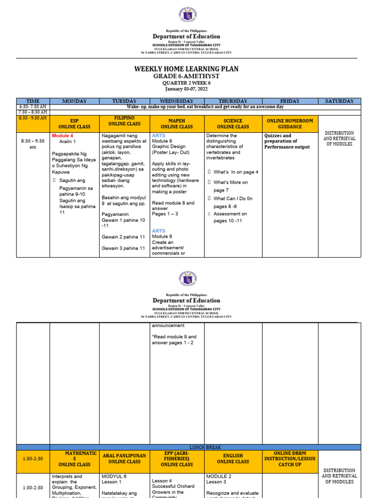 Grade 6 Weekly Home Learning Plan | PDF | Learning | Cognition