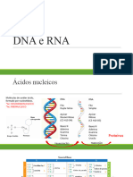 DNA e RNA Amane
